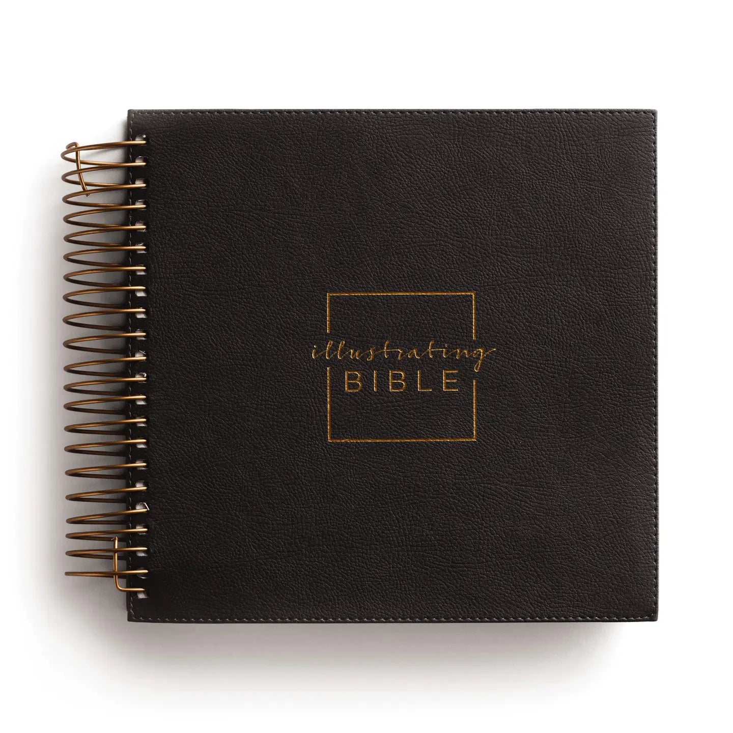 Bible Bundle (Pre-Order)